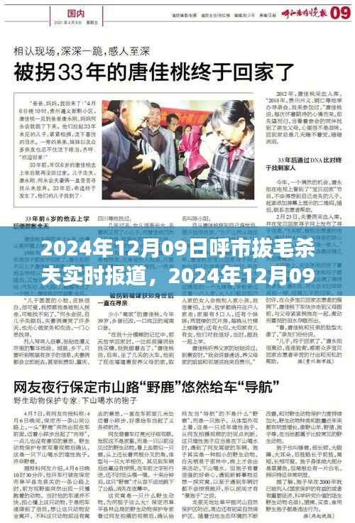 呼市拔毛杀夫事件,悲剧背后的深度解析(实时报道)