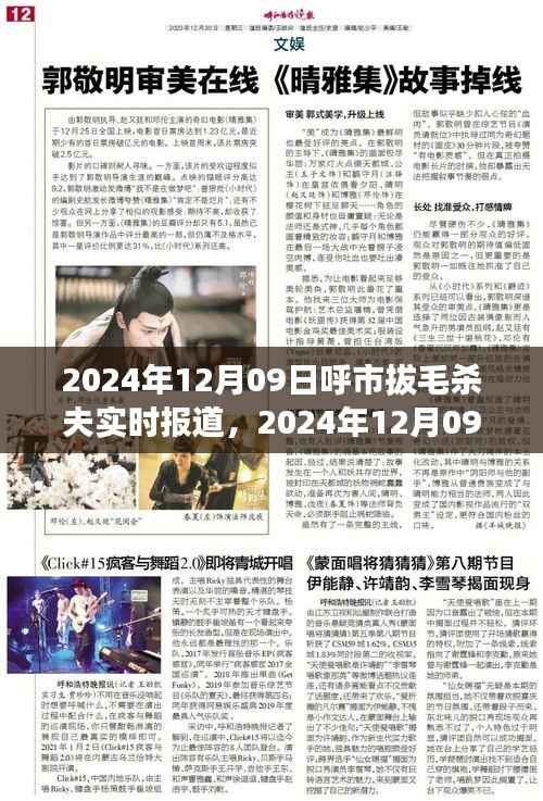 呼市拔毛杀夫事件,悲剧背后的深度解析(实时报道)