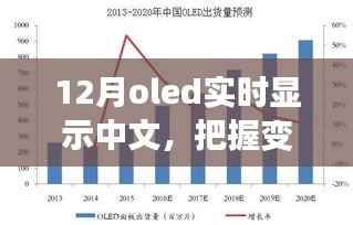 12月OLED中文实时显示,把握变化,点亮未来——展现你的中文魅力