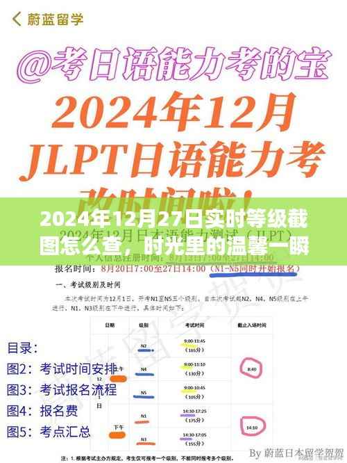 2024年12月27日等级截图揭秘,时光温馨一瞬,友谊见证时刻