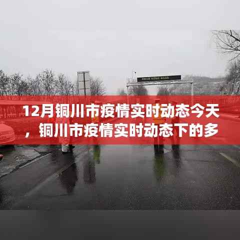 铜川市疫情实时动态下的多维观察与深度思考,12月疫情最新进展