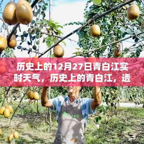 政策法规 第127页