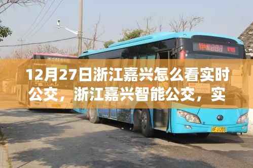 浙江嘉兴实时公交与智能出行,科技重塑城市生活新篇章