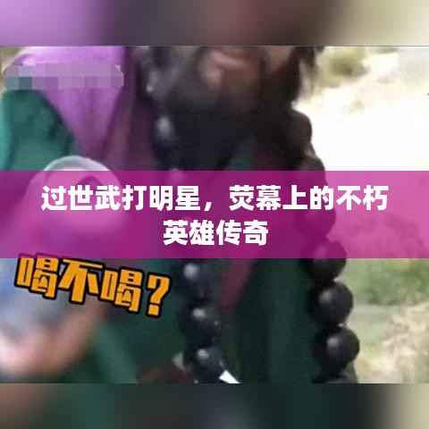 过世武打明星,荧幕上的不朽英雄传奇