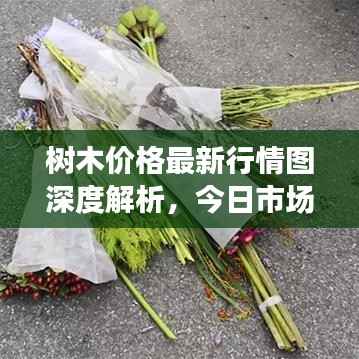 在线留言 第106页