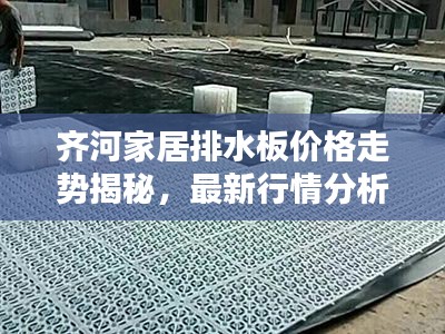 齐河家居排水板价格走势揭秘，最新行情分析