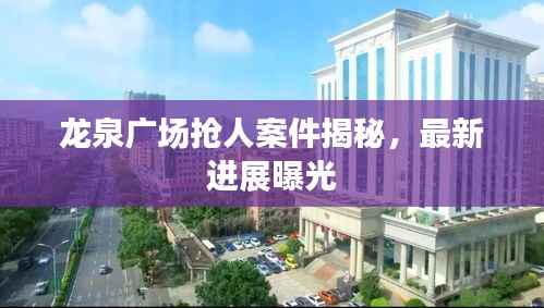 龙泉广场抢人案件揭秘,最新进展曝光