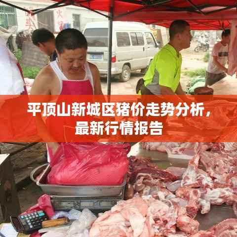 平顶山新城区猪价走势分析,最新行情报告