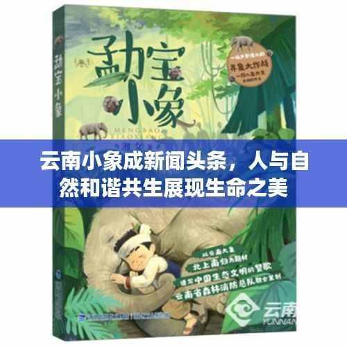 云南小象成新闻头条,人与自然和谐共生展现生命之美