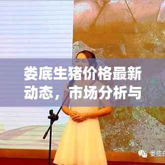 娄底生猪价格最新动态,市场分析与趋势预测