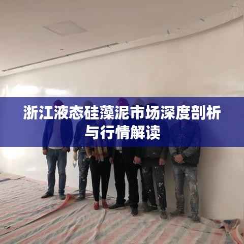 浙江液态硅藻泥市场深度剖析与行情解读