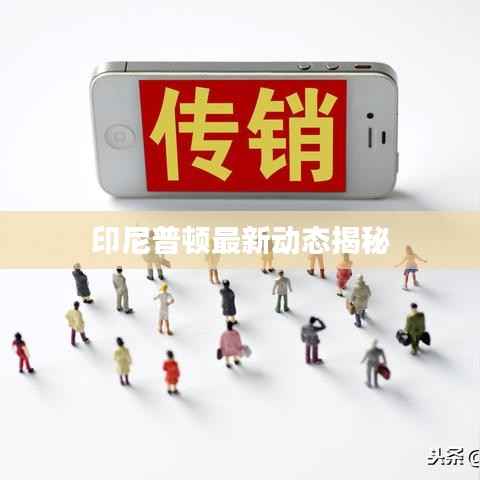 印尼普顿最新动态揭秘