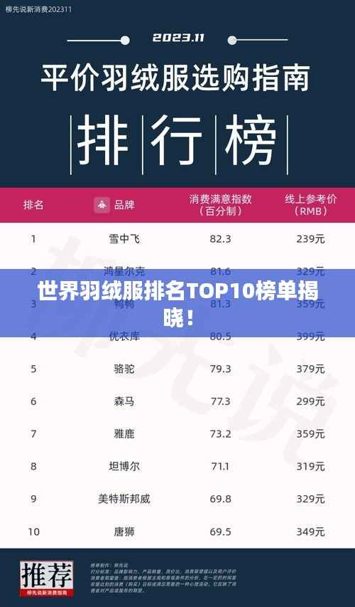世界羽绒服排名TOP10榜单揭晓！