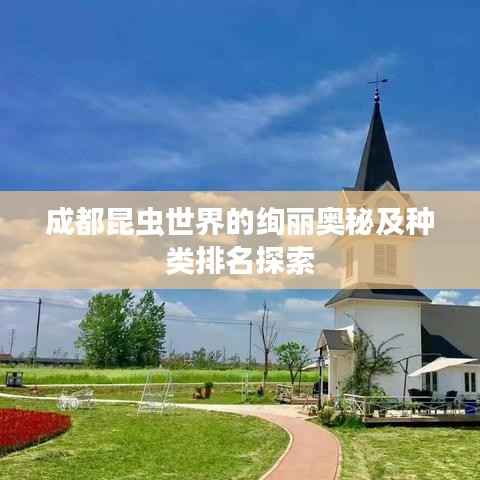 成都昆虫世界的绚丽奥秘及种类排名探索