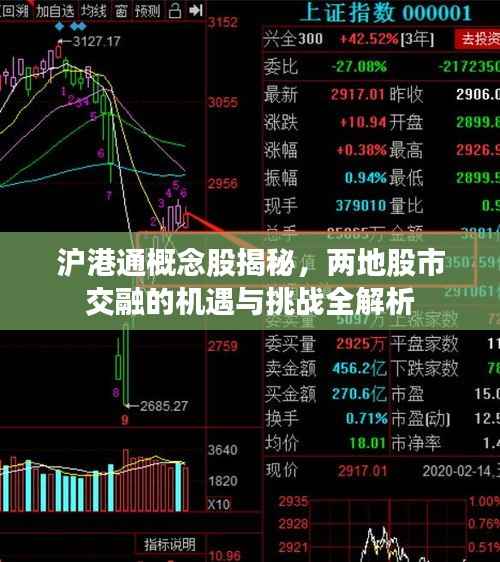 沪港通概念股揭秘，两地股市交融的机遇与挑战全解析