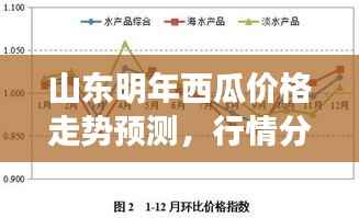 山东明年西瓜价格走势预测，行情分析与展望