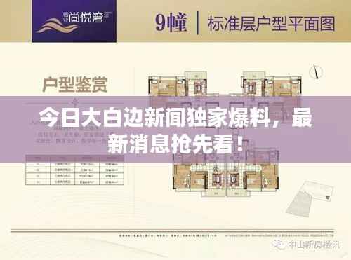 今日大白边新闻独家爆料,最新消息抢先看!