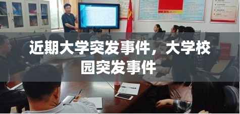 业绩展示 第64页