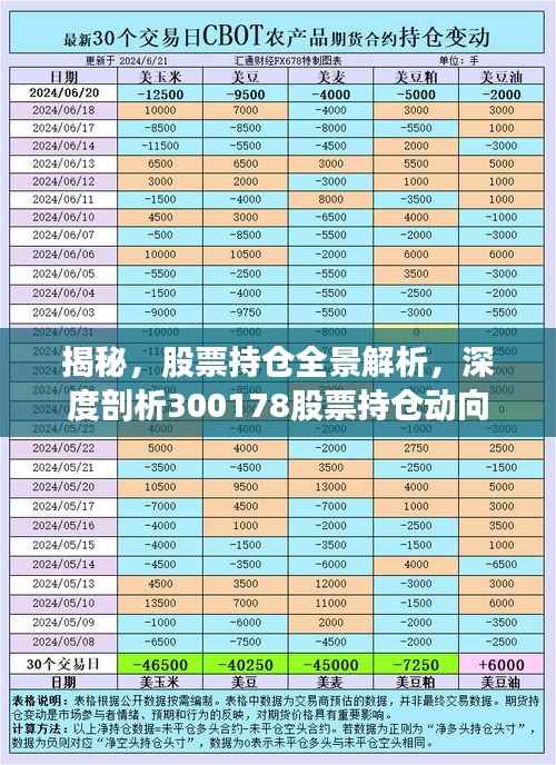 揭秘，股票持仓全景解析，深度剖析300178股票持仓动向