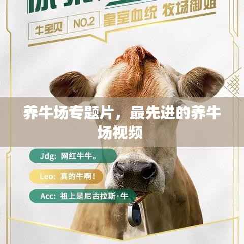 空谷幽兰 第2页