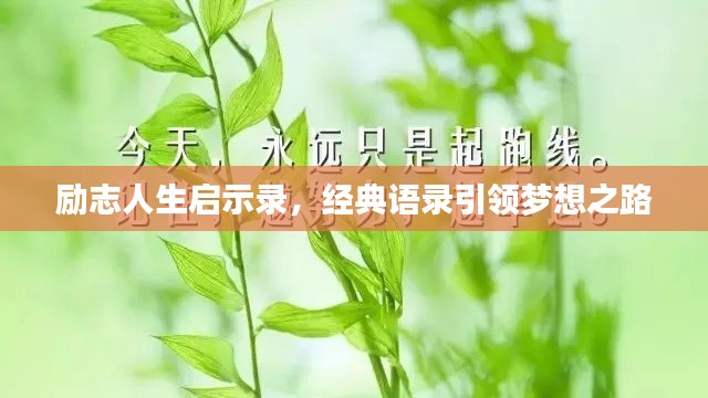 励志人生启示录,经典语录引领梦想之路