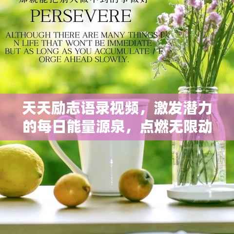 天天励志语录视频，激发潜力的每日能量源泉，点燃无限动力！