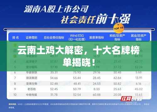 云南土鸡大解密,十大名牌榜单揭晓!