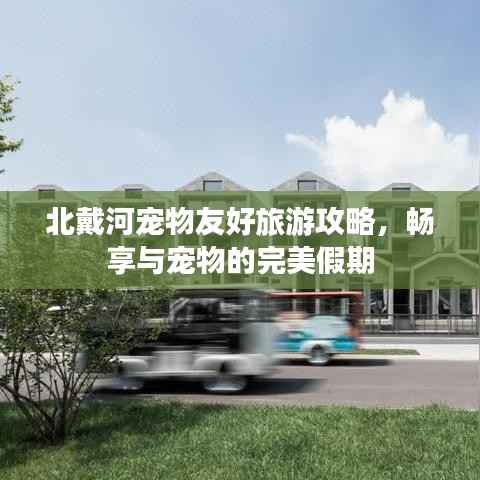北戴河宠物友好旅游攻略，畅享与宠物的完美假期