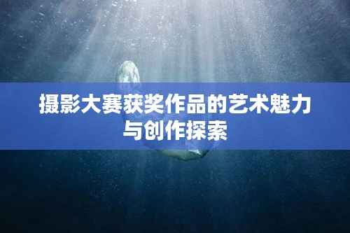 摄影大赛获奖作品的艺术魅力与创作探索