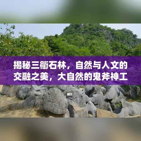 如翚斯飞 第2页