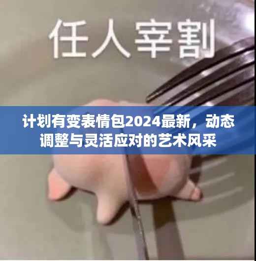 计划有变表情包2024最新,动态调整与灵活应对的艺术风采